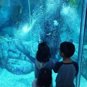 Meet your Posher, Oliver